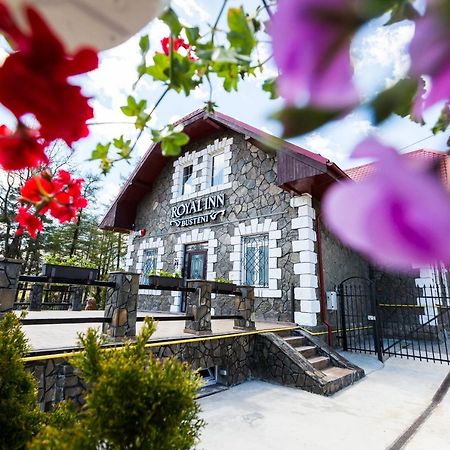 Royal Inn Busteni-Adults Only Экстерьер фото