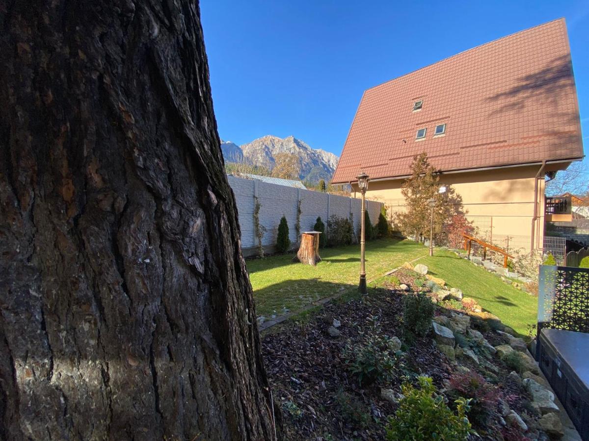 Royal Inn Busteni-Adults Only Экстерьер фото